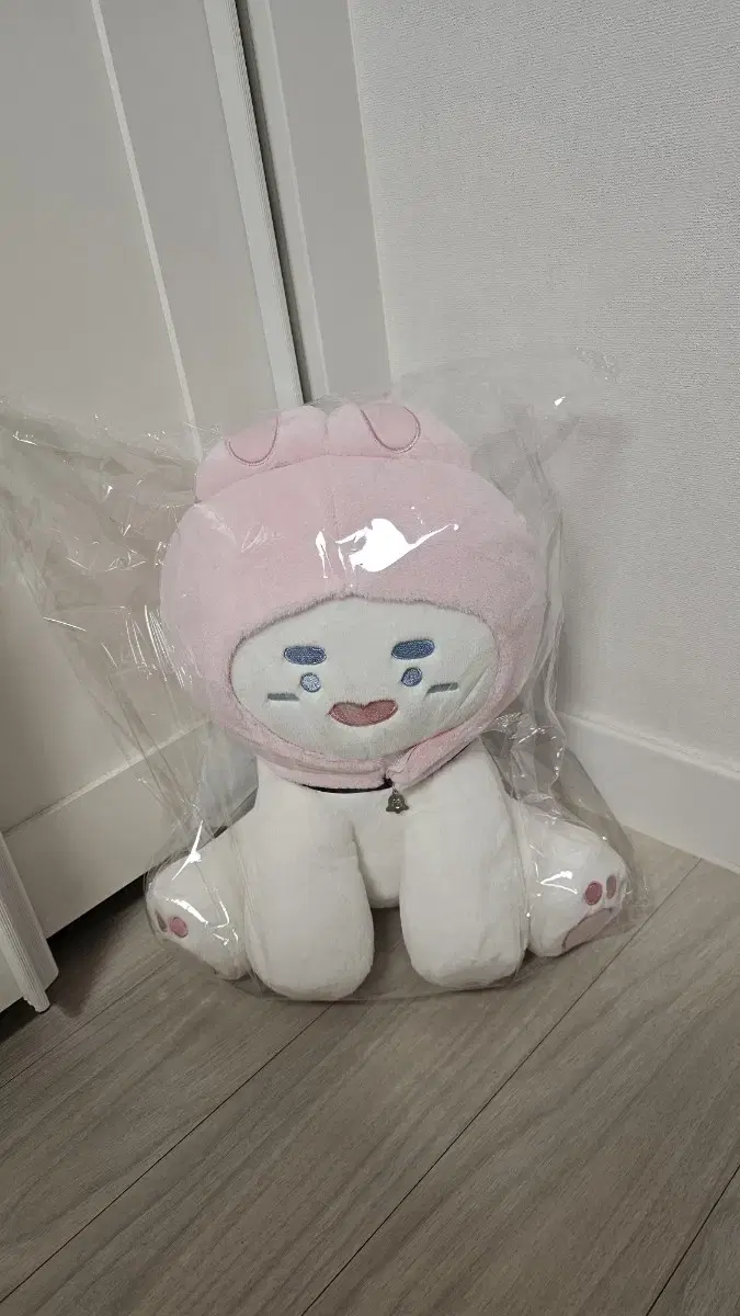 샤이니 온유 찡냥이 30cm 반택무료